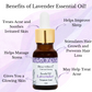 Beautisoul Lavender Essential Oil for Skin, Hair and Aromatherapy - 15 ml