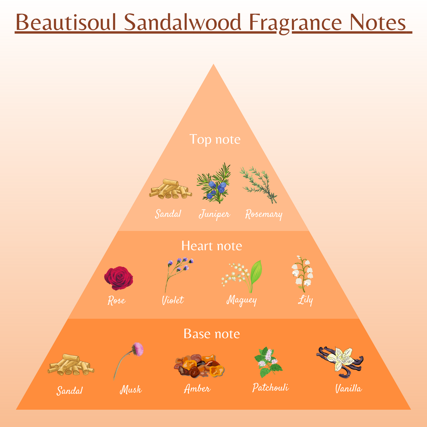 Beautisoul Sandalwood Perfumed Talc for men and women - 100 g